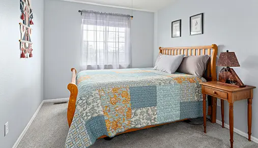 Interior Wall Painting